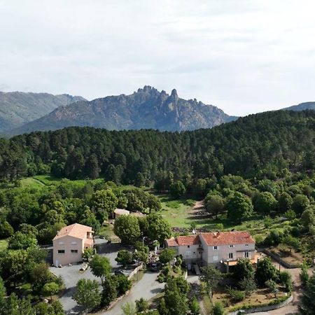 Les Hauts De Cavanello ゾンザ エクステリア 写真